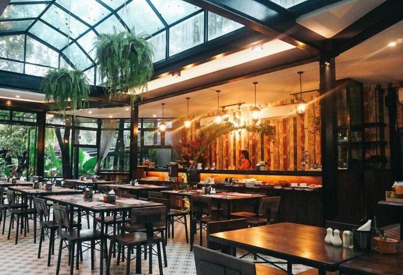 T Rex Buriram Boutique Hotel New Hotel In Buriram