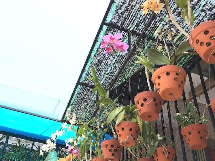 Venus Homestay Phu Yen  Hostel