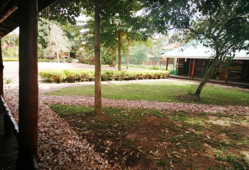 هاستل Murchison Backpackers