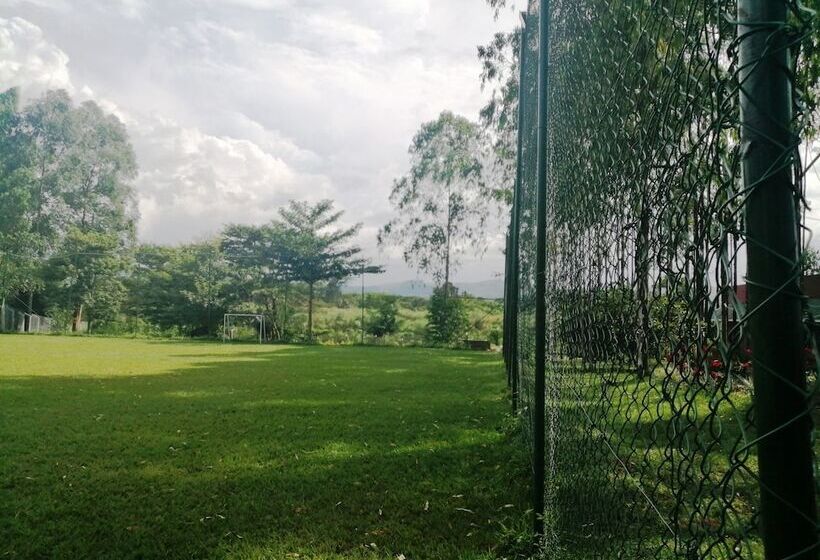 هاستل Murchison Backpackers