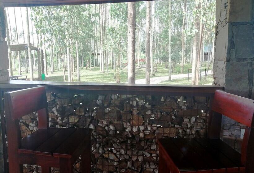 هاستل Murchison Backpackers