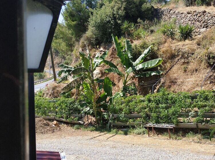 هاستل Zeytinada Pansiyon Ve Gozleme