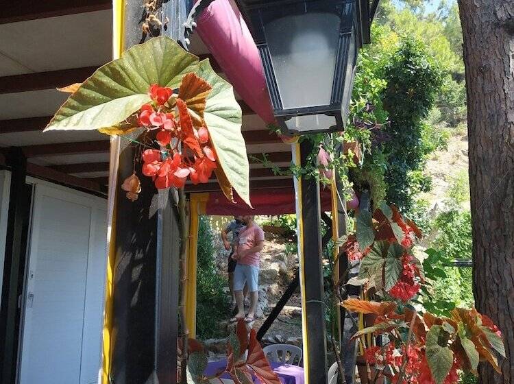 هاستل Zeytinada Pansiyon Ve Gozleme