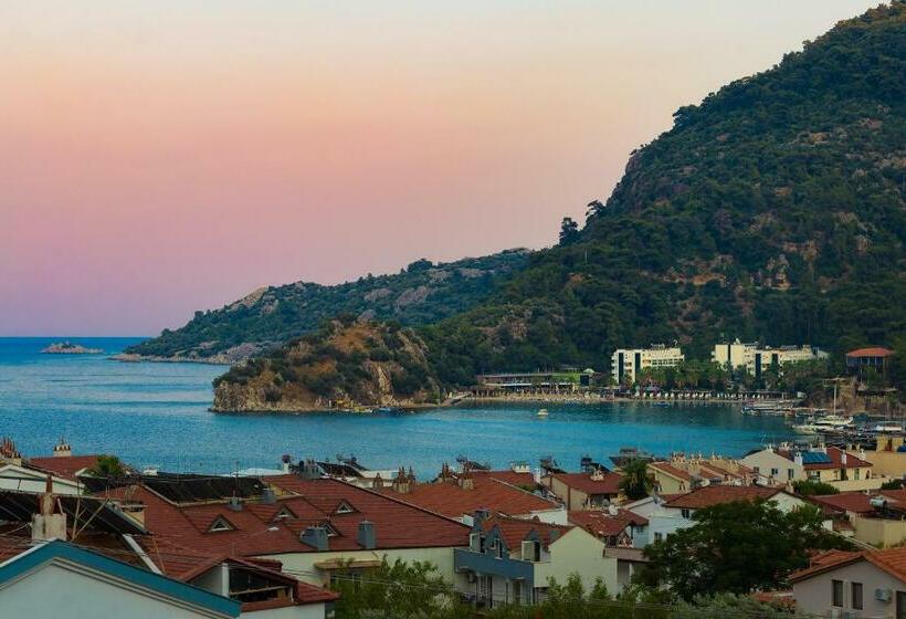 فندق Amossi̇a Elite Boutique