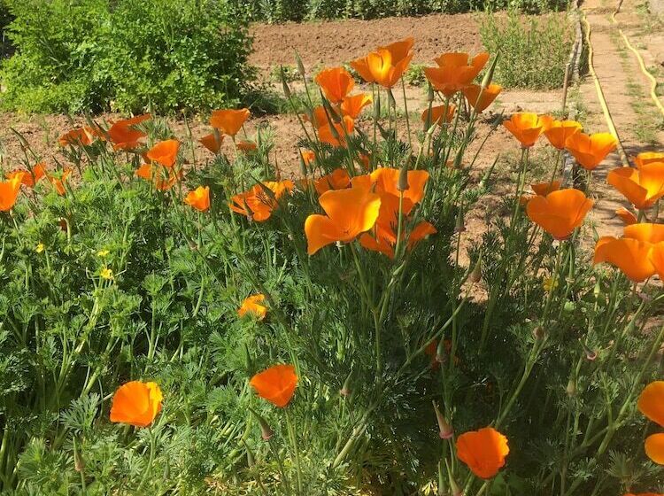 مبيت وإفطار La Chambre De Madel