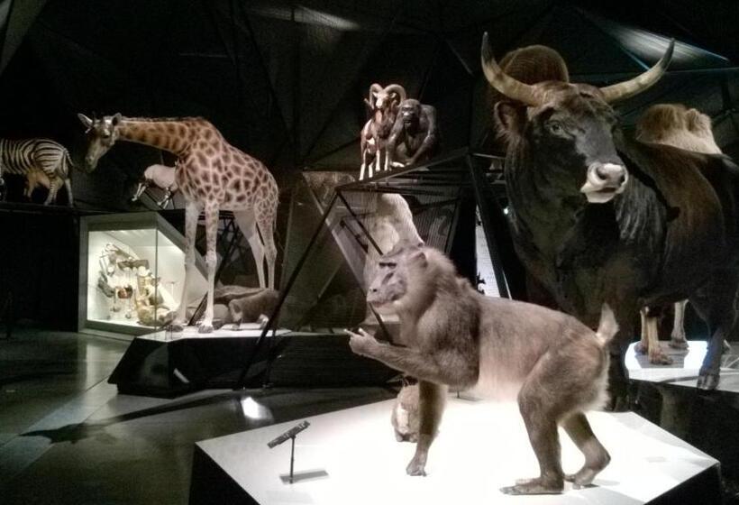 민박 Chambres D Hotes Gite Grange Debout