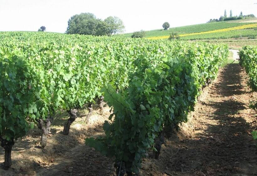 Bed and Breakfast Chambres D'hotes Pin Parasol