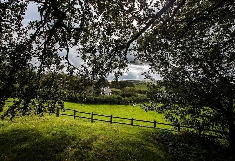 צימר Llangwyryfon Country Breaks