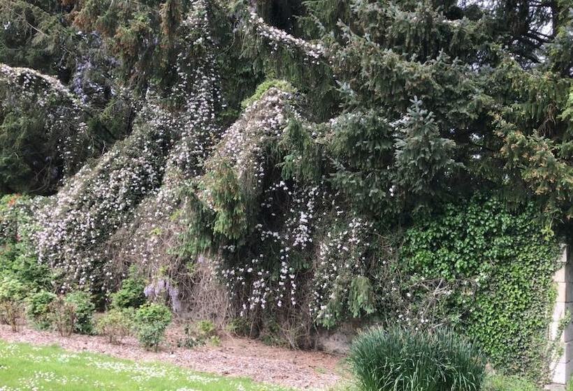 민박 Manoir De Penn Lann