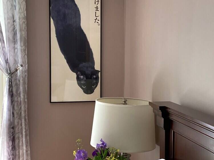 住宿加早餐  Mooreland Garden Inn