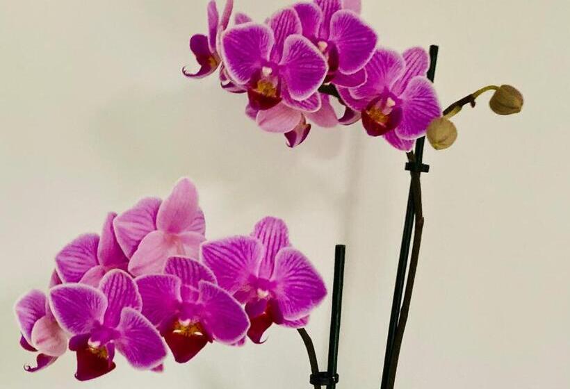 住宿加早餐 Ranmore Rise Retreat In The Surrey Hills