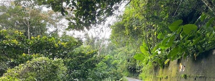 تختخواب و صبحانه Shan Xing Ji Ye Homestay