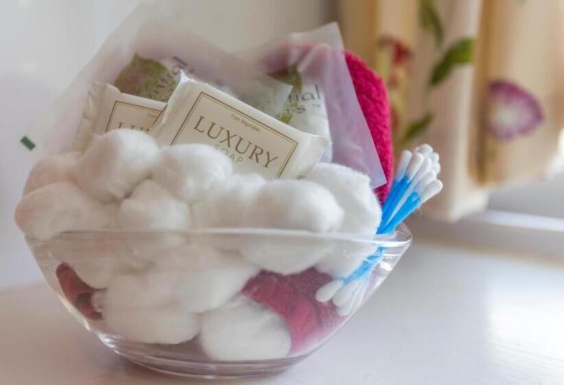 مبيت وإفطار The Old Coach House