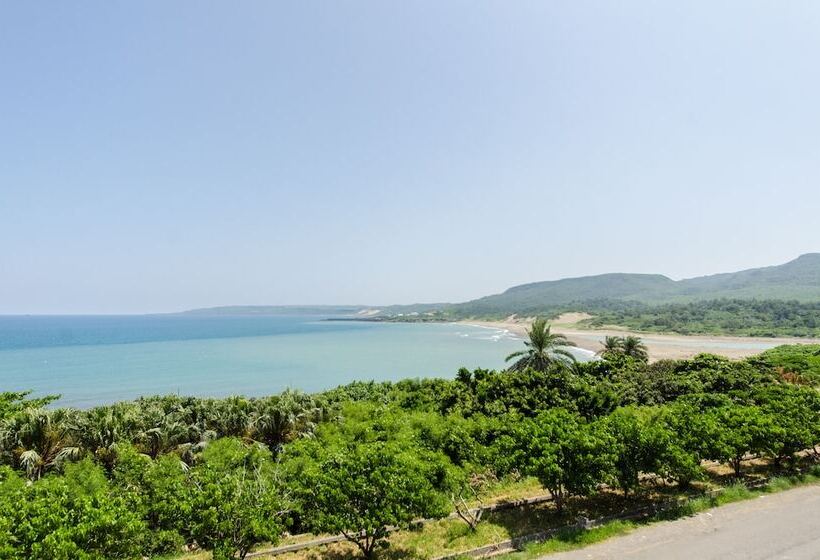 تختخواب و صبحانه Yellow Submarine