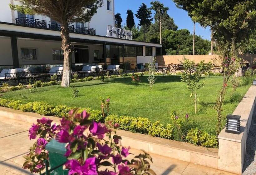 Didim Hotel Ella