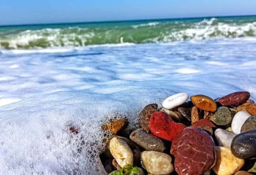 פונדק Assos Livza Butik & Apart Otel