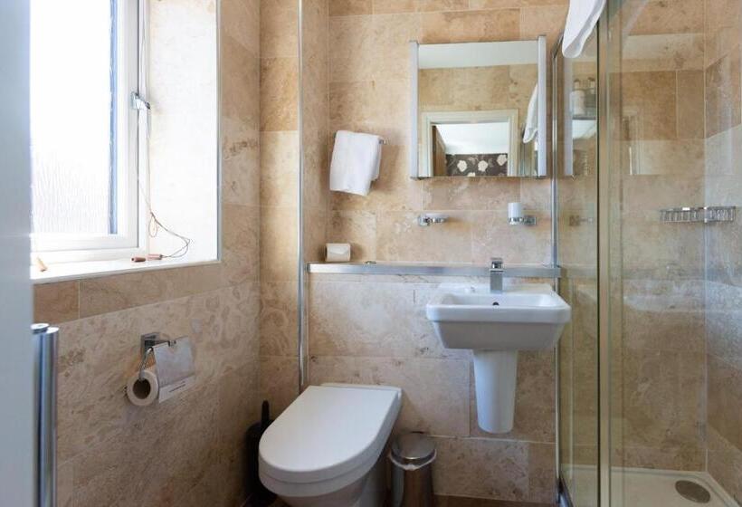 فندق فئة نجمة واحدة The White Swan