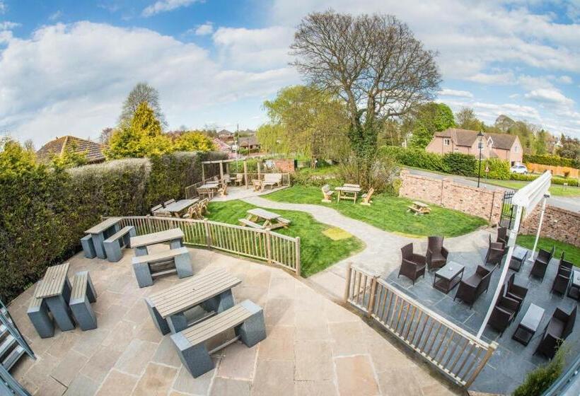 فندق فئة نجمة واحدة The White Swan