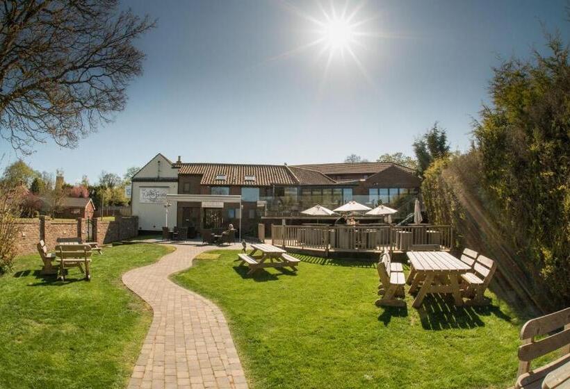 فندق فئة نجمة واحدة The White Swan