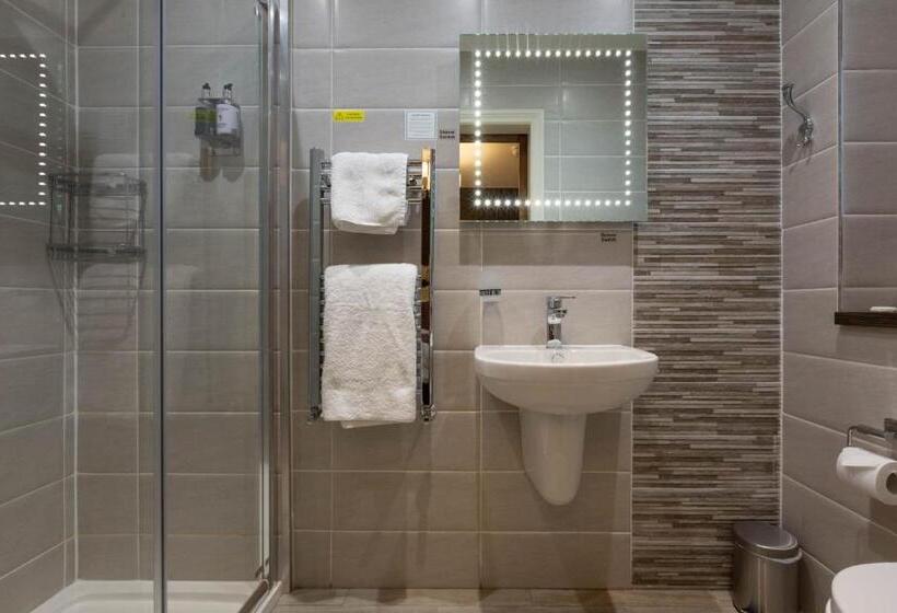 فندق فئة نجمة واحدة The White Swan