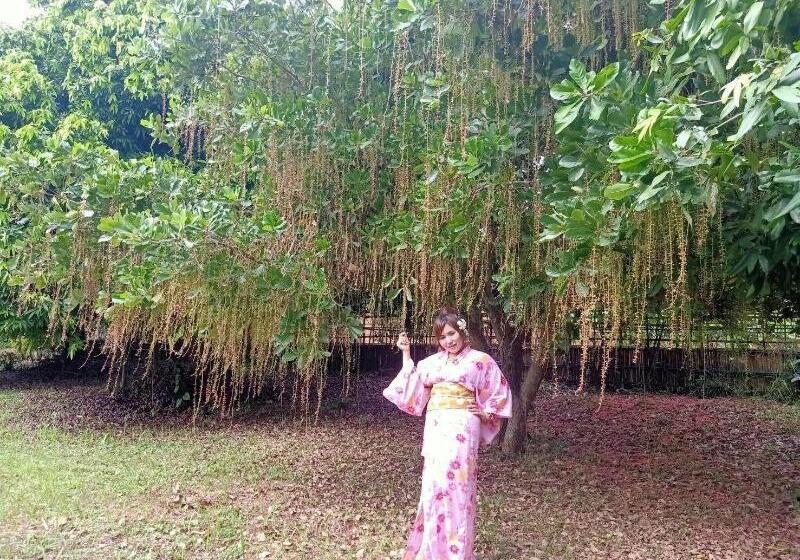 ホテル Bamboo Grove Chiang Mai