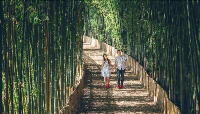 ホテル Bamboo Grove Chiang Mai