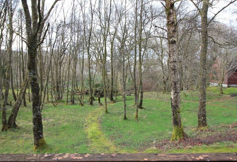 酒店 Burnbank Lodges