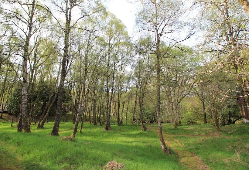 酒店 Burnbank Lodges