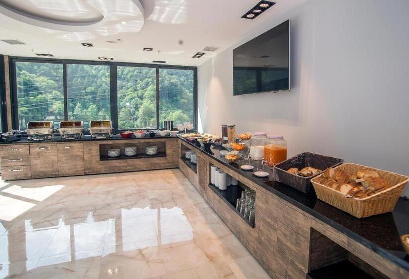 בית מלון כפרי Caykara Park