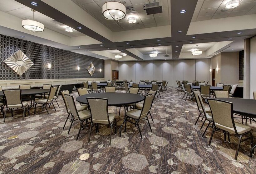 Drury Plaza Hotel Dallas Richardson