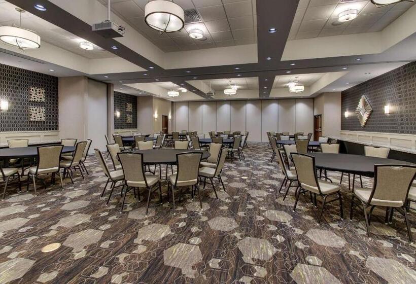 Drury Plaza Hotel Dallas Richardson