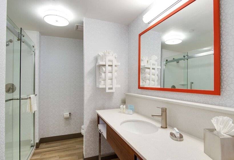 فندق Hampton Inn & Suites Nashville North Skyline