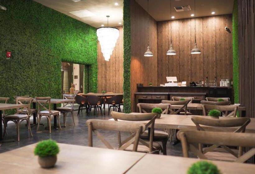 בית מלון כפרי Magic Village Views Trademark Collection By Wyndham