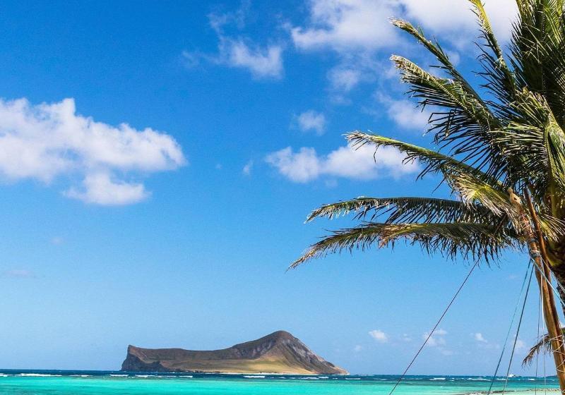 فندق Residence Inn By Marriott Oahu Kapolei