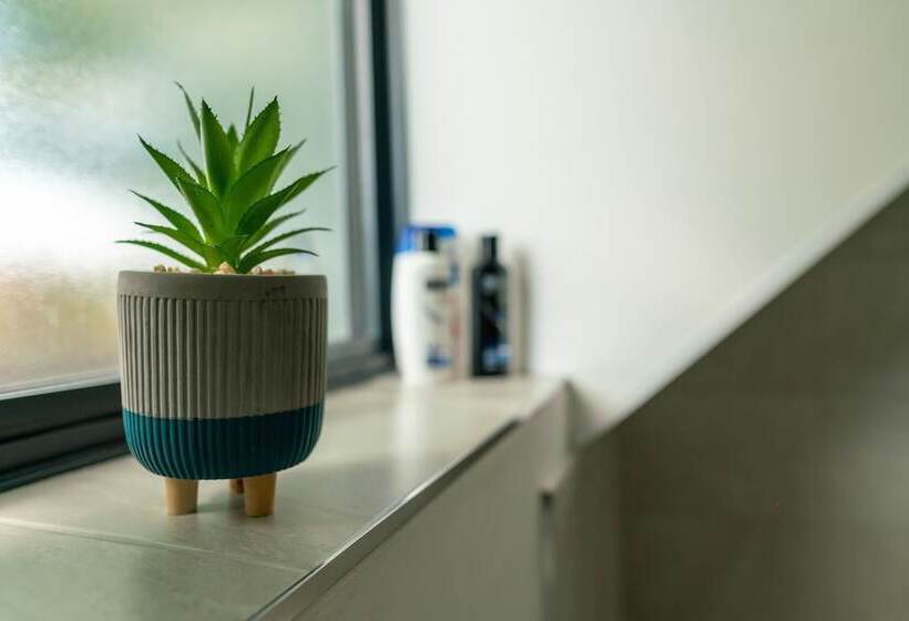 ホテル Town Centre Lodge