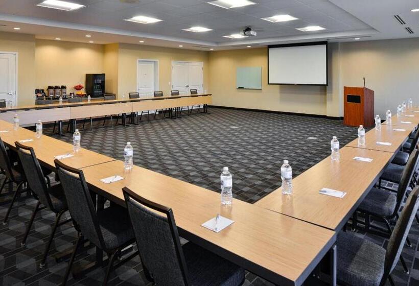 בית מלון כפרי Towneplace Suites By Marriott Detroit Belleville