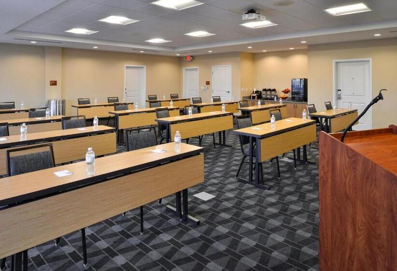 בית מלון כפרי Towneplace Suites By Marriott Detroit Belleville