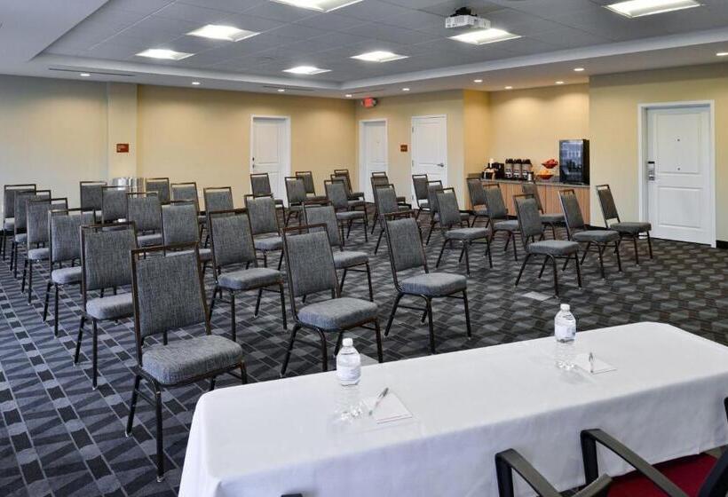 فندق Towneplace Suites By Marriott Detroit Belleville