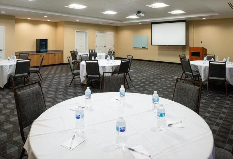 בית מלון כפרי Towneplace Suites By Marriott Detroit Belleville