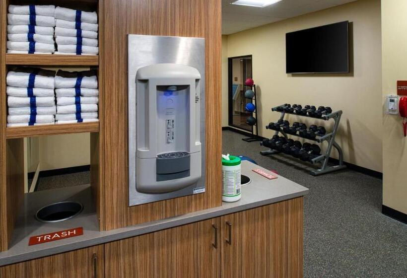 בית מלון כפרי Towneplace Suites By Marriott Detroit Belleville