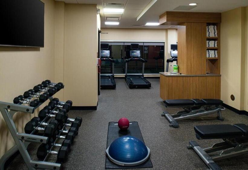 בית מלון כפרי Towneplace Suites By Marriott Detroit Belleville