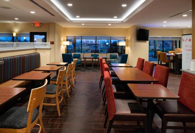 בית מלון כפרי Towneplace Suites By Marriott Detroit Belleville