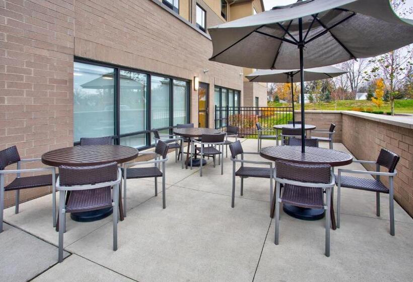 בית מלון כפרי Towneplace Suites By Marriott Detroit Belleville