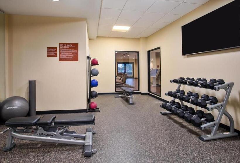 فندق Towneplace Suites By Marriott Detroit Belleville