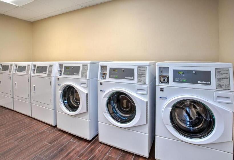 בית מלון כפרי Towneplace Suites By Marriott Detroit Belleville