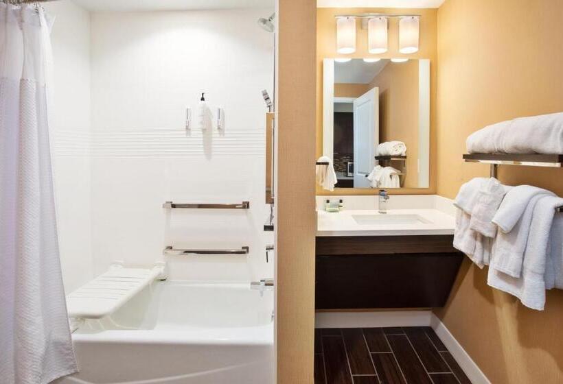 בית מלון כפרי Towneplace Suites By Marriott Detroit Belleville