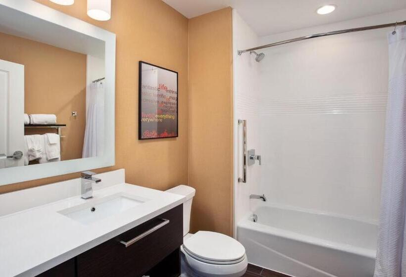 בית מלון כפרי Towneplace Suites By Marriott Detroit Belleville