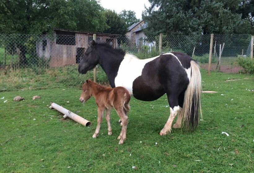 בית מלון כפרי Yourte Mongole