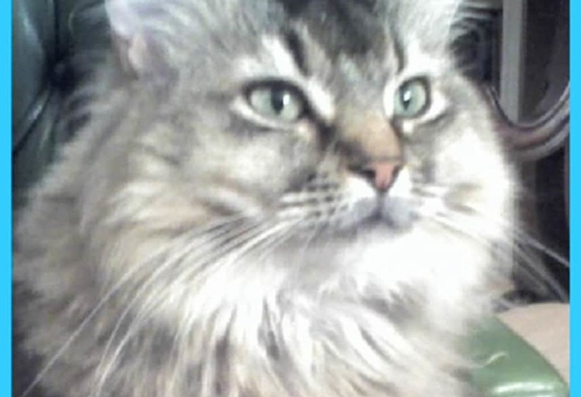 Lolas Bed And Breakfast