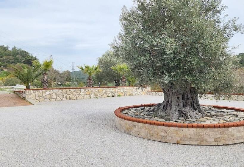 Otel Naturla Göl Evi